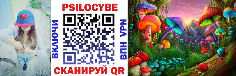 OMG ССЫЛКА Сосногорск Галлюциногенные грибы GOLDEN TEACHER