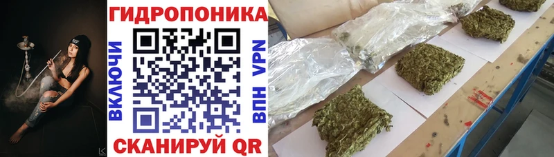 Канабис семена  Сосногорск 